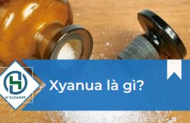 Xyanua là gì?
