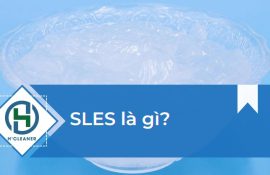 SLES là gì?