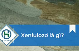 Xenlulozơ là gì?